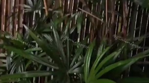 เย็ดกันอยู่หน้าบ้านเกือบโดนจับได้